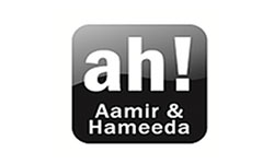 Aamir and Hameeda